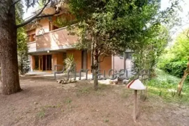 insertion image
