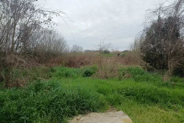 insertion image