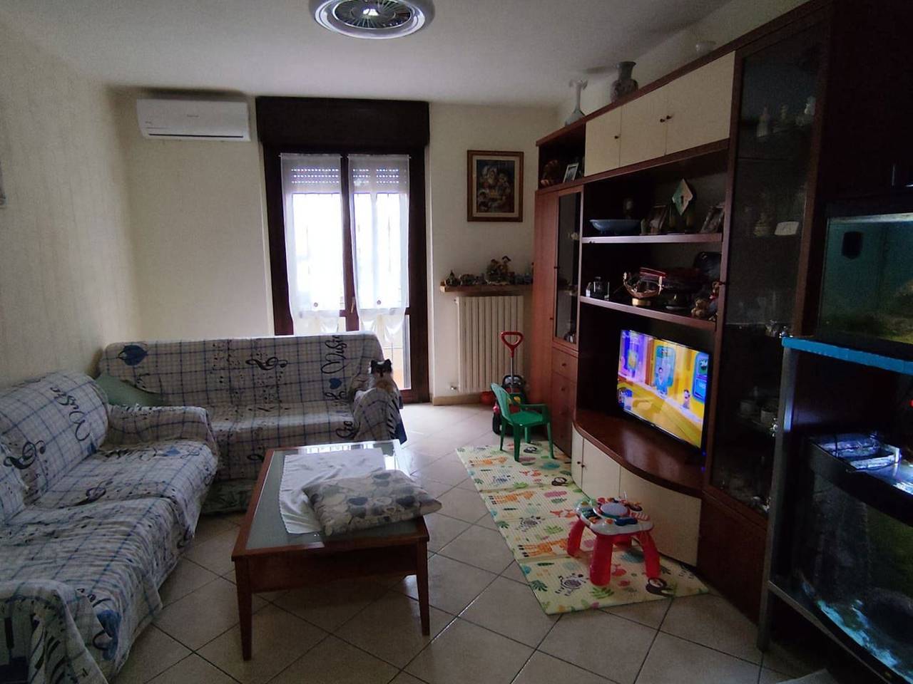 immagine annuncio 6 di 14