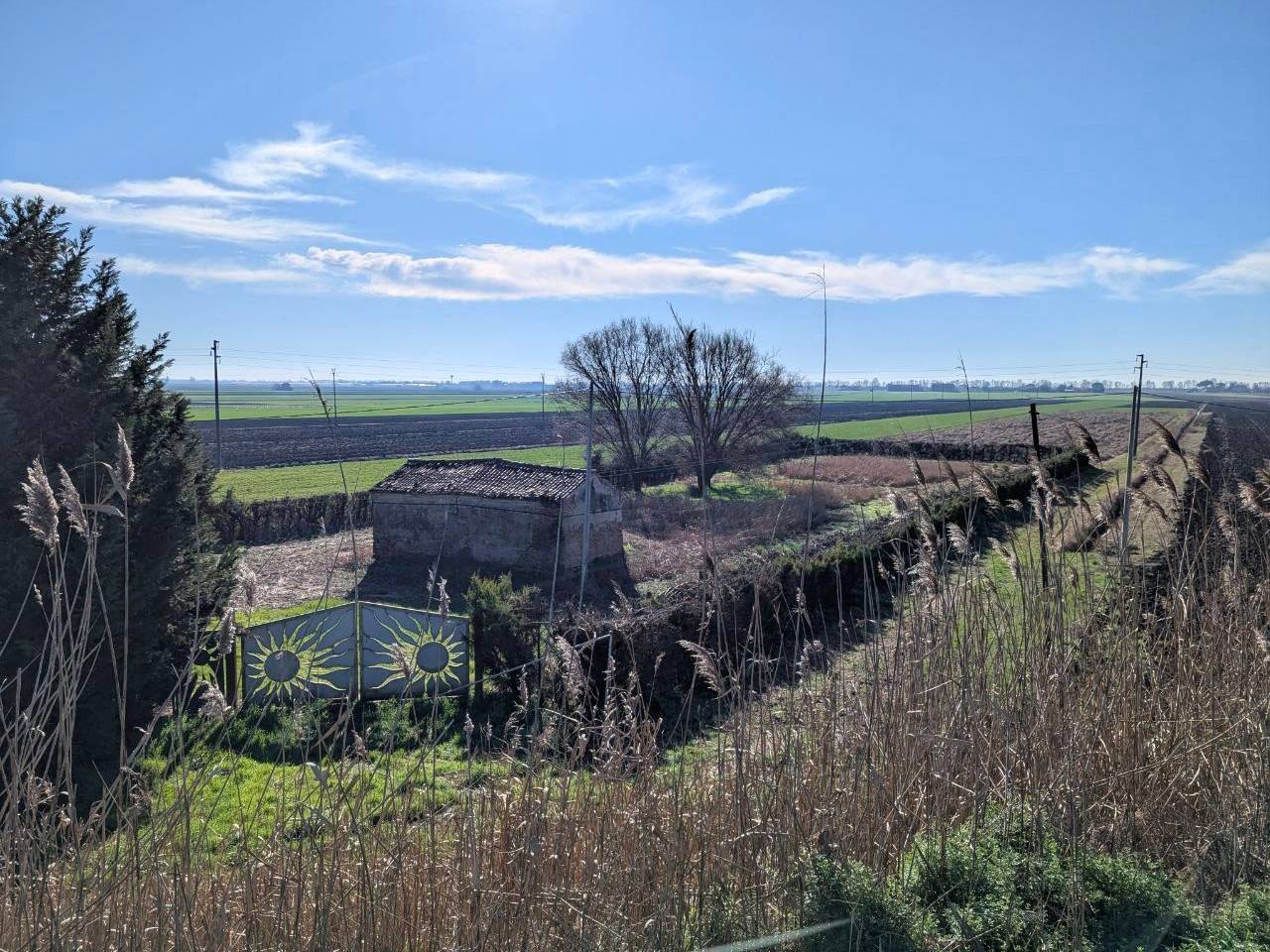 immagine annuncio 8 di 11