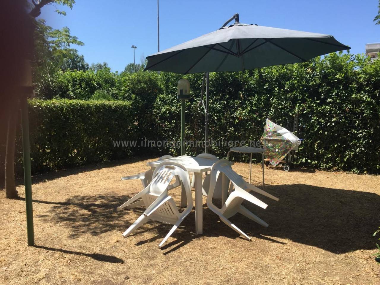 immagine annuncio 0 di 14