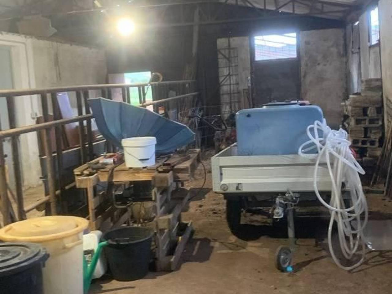 immagine annuncio 6 di 15