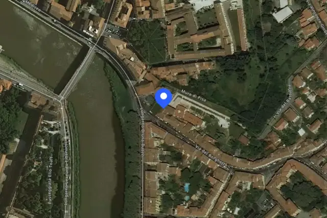 insertion image
