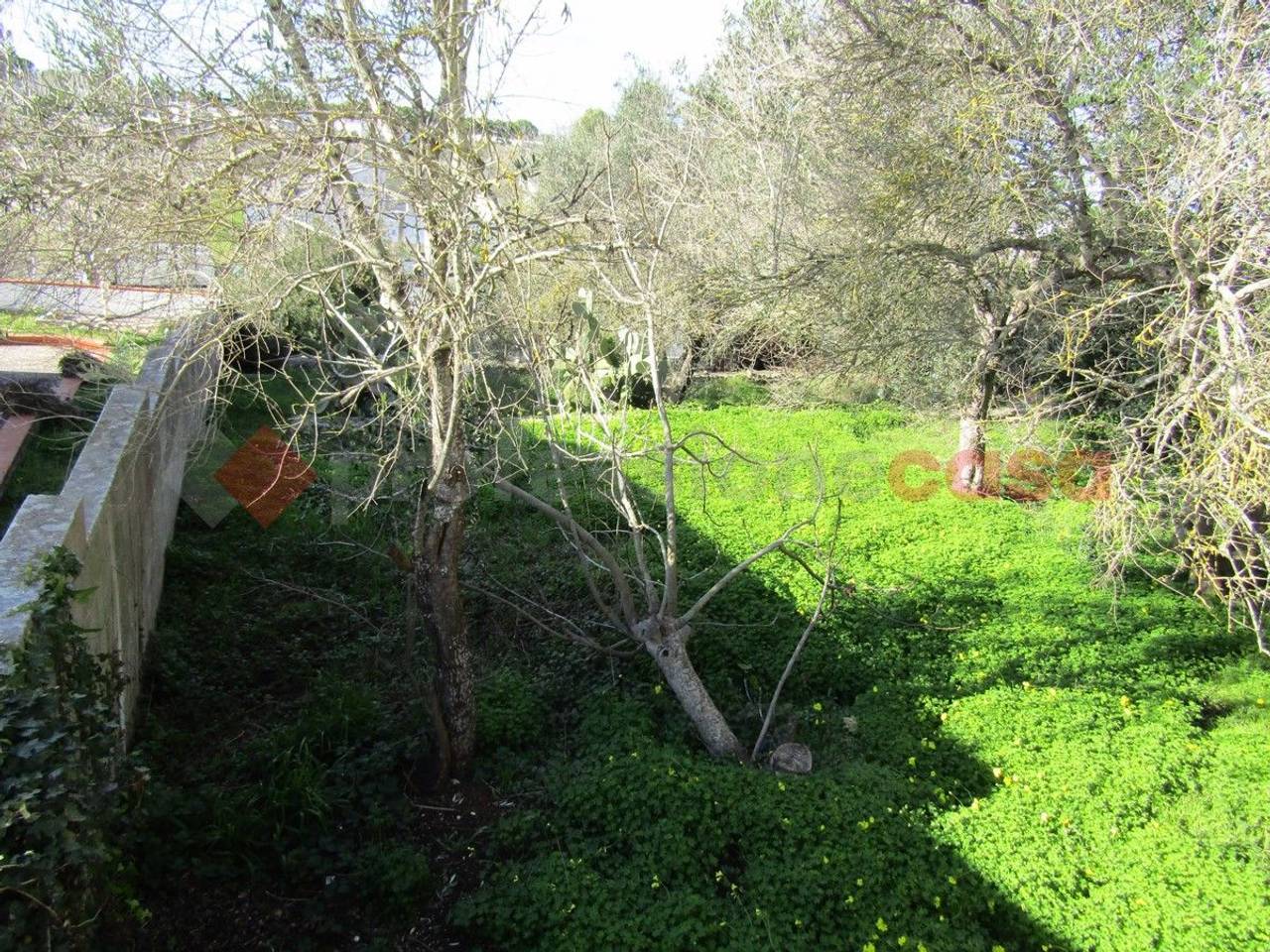 immagine annuncio 5 di 7