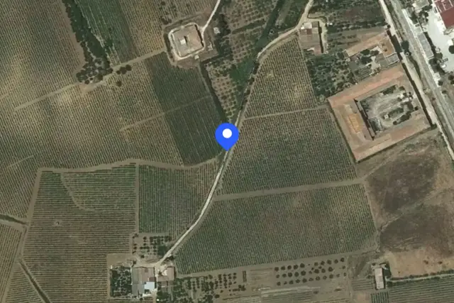 insertion image