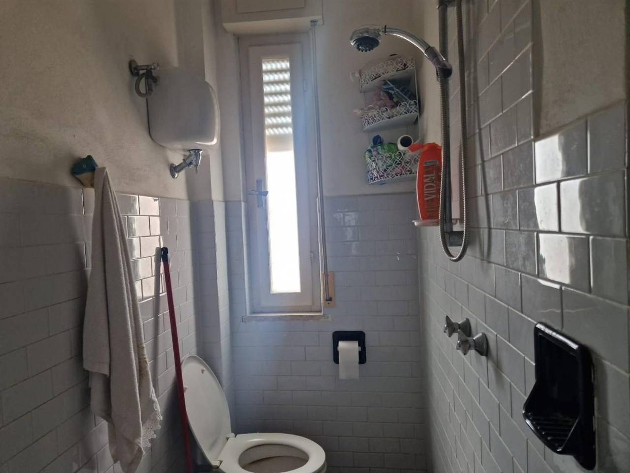 immagine annuncio 4 di 7