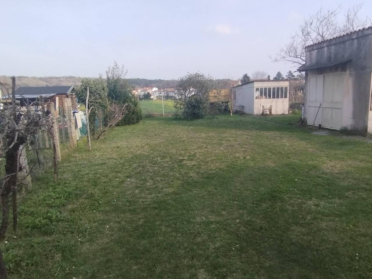 immagine annuncio 7 di 14