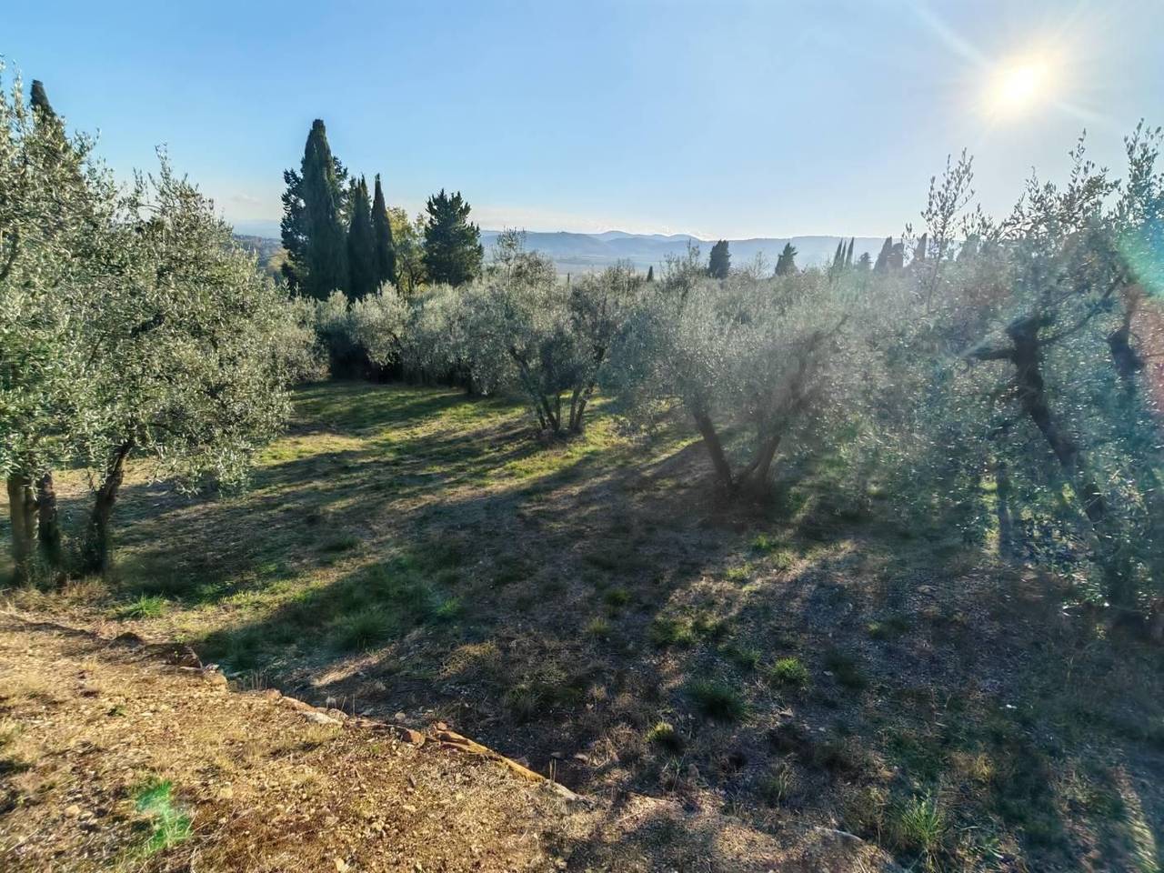 immagine annuncio 7 di 12