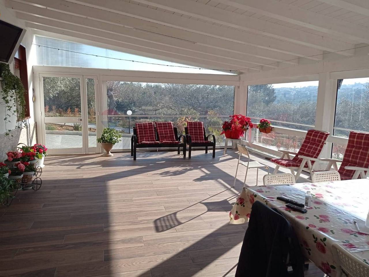 immagine annuncio 3 di 8