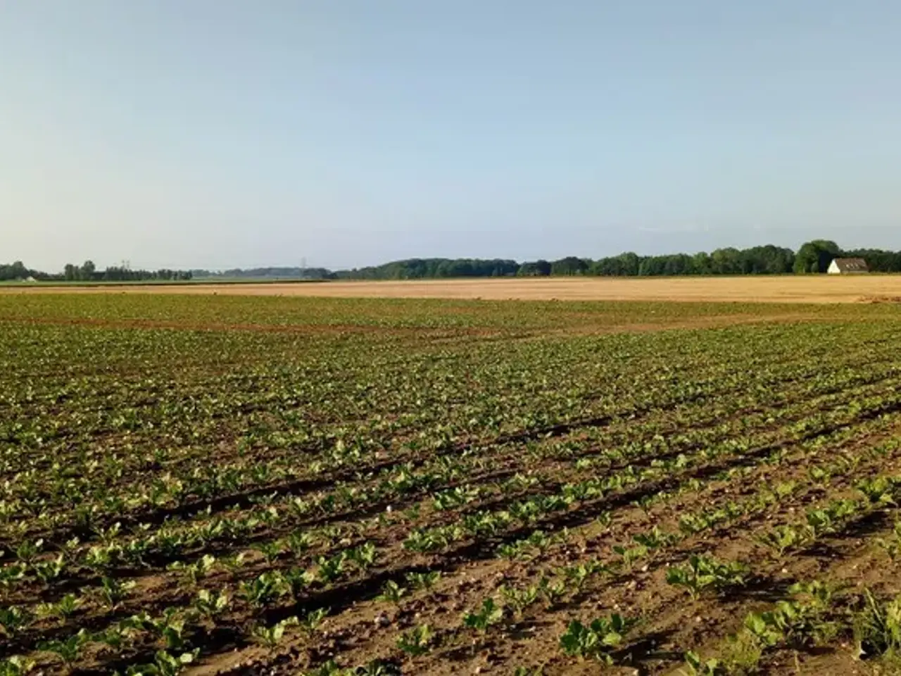 Terreno agricolo in Via Pagliarani, Santarcangelo Di Romagna - Planimetria 1