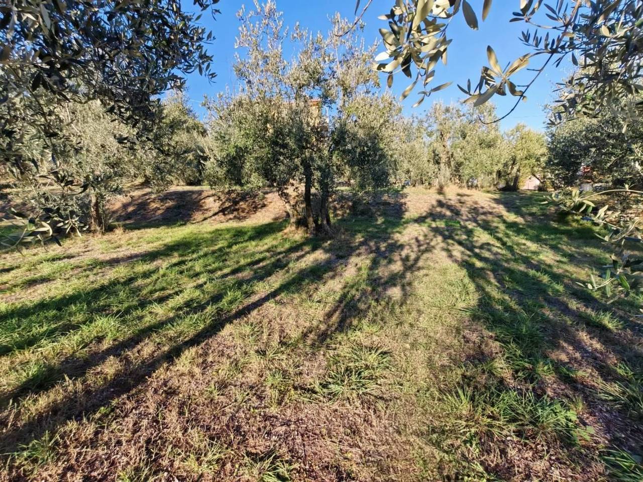 immagine annuncio 11 di 12