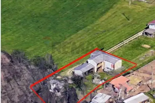 insertion image