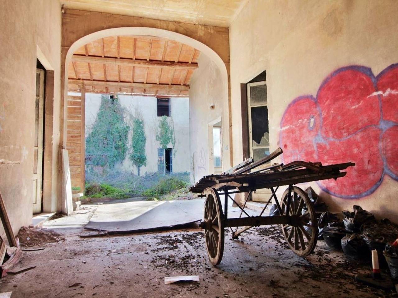 immagine annuncio 2 di 8