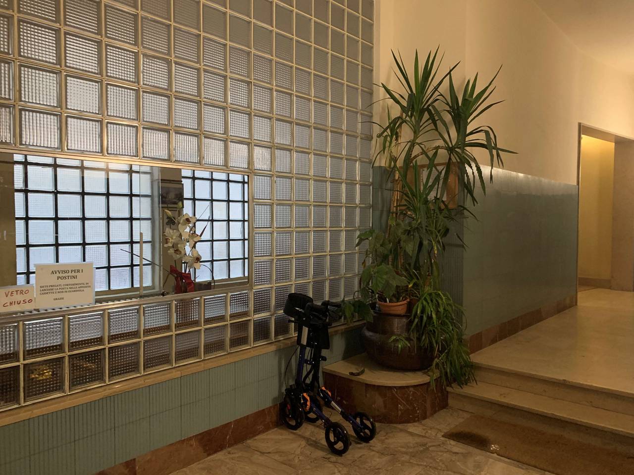 immagine annuncio 10 di 14