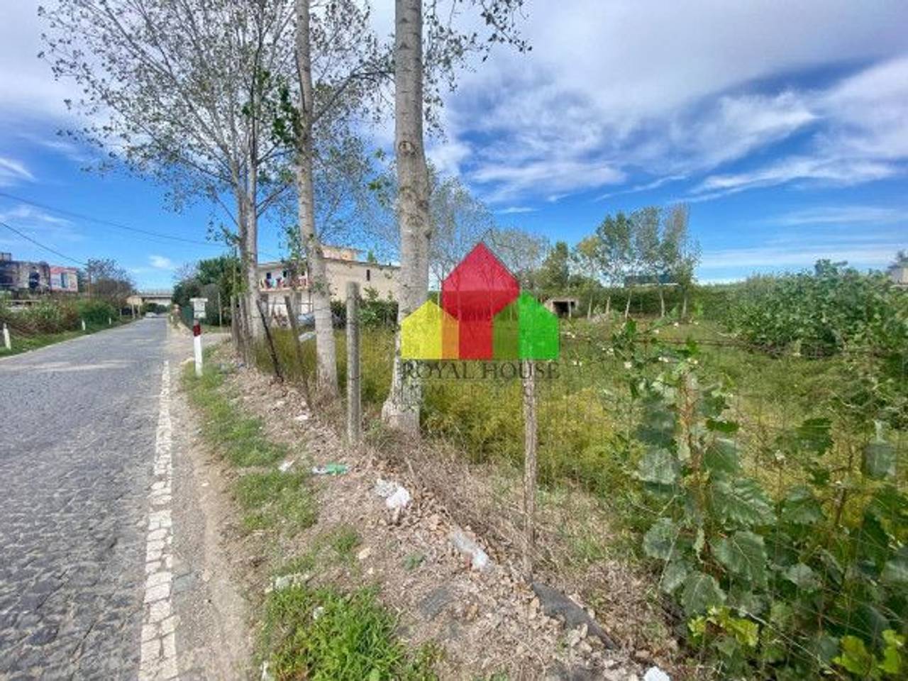 immagine annuncio 10 di 12