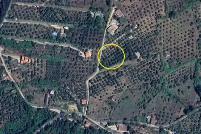 insertion image