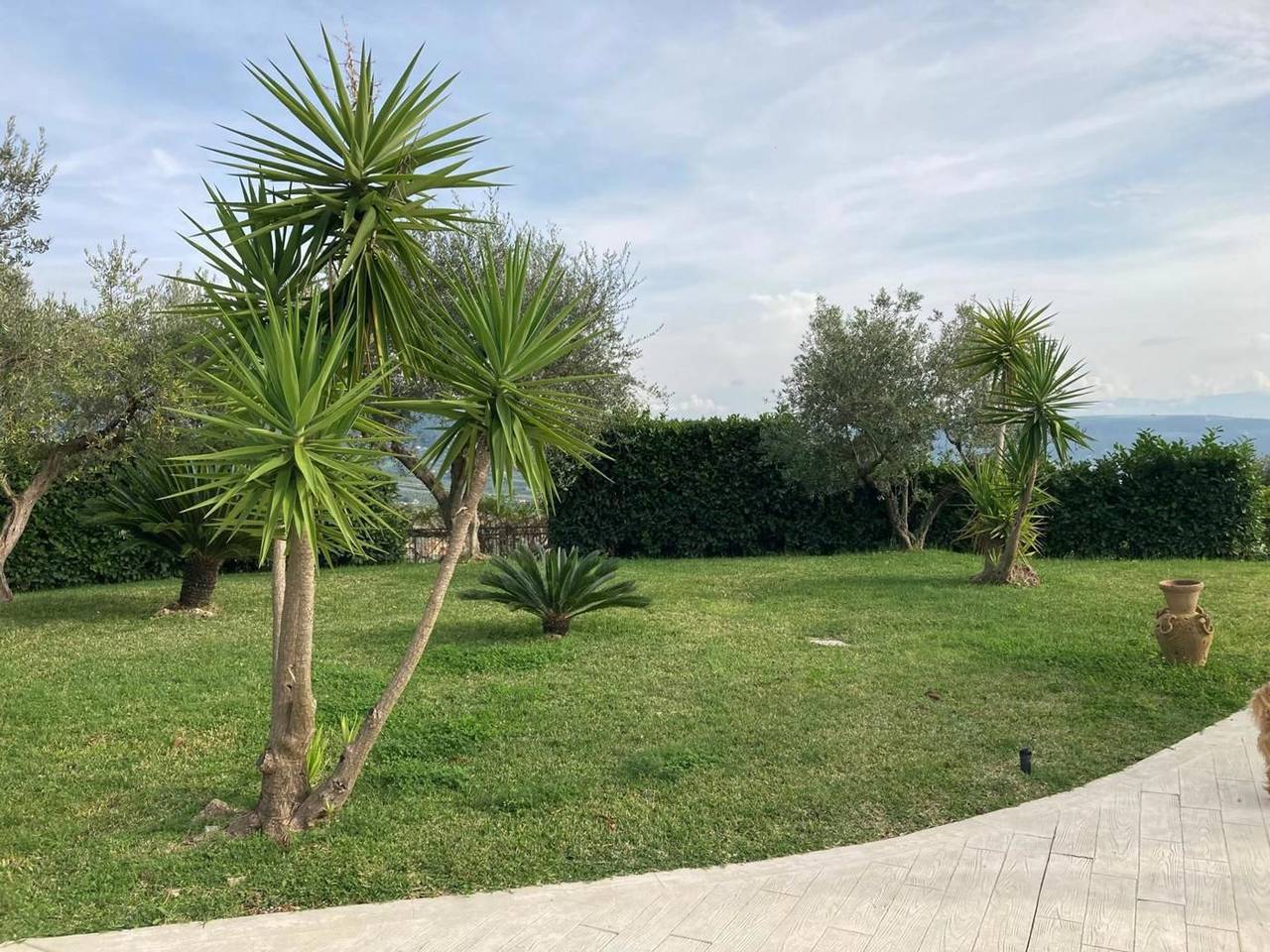 immagine annuncio 3 di 11