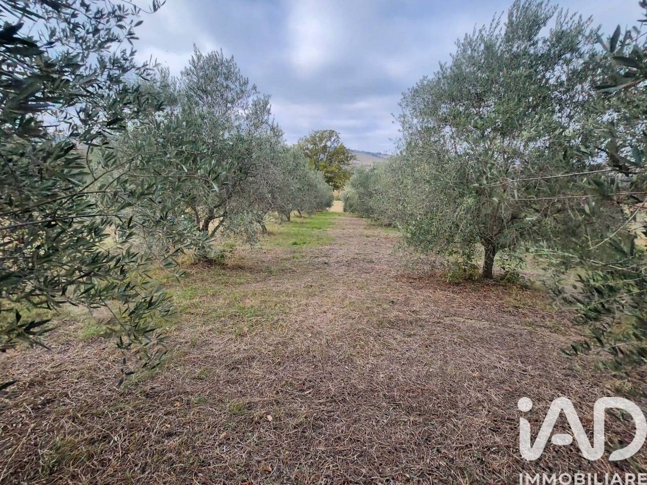 immagine annuncio 1 di 7