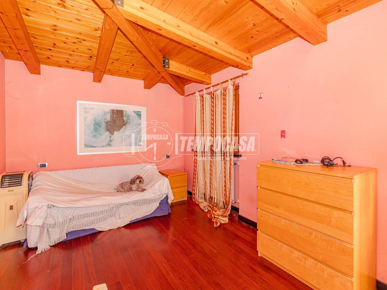 immagine annuncio 3 di 11