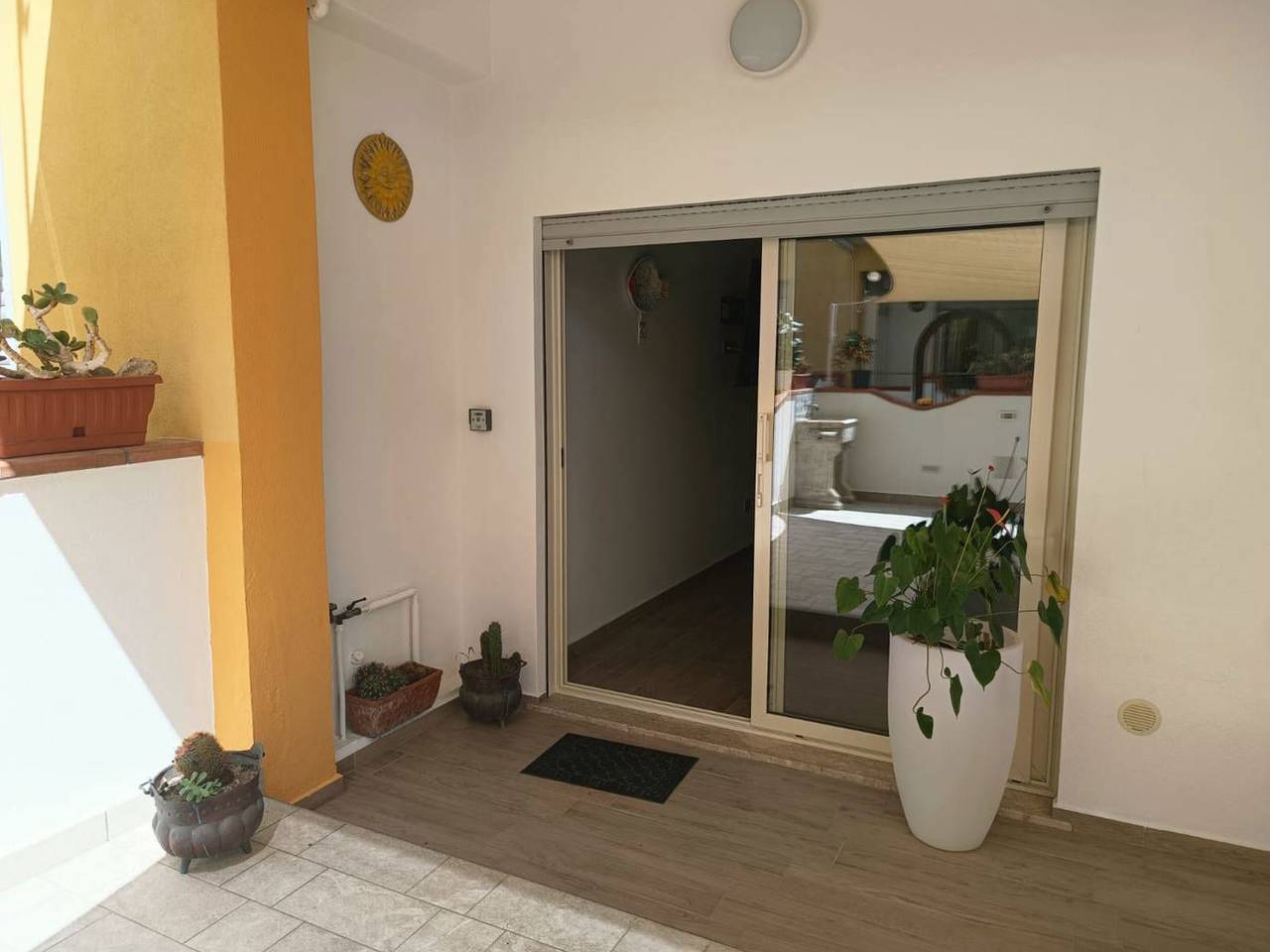 immagine annuncio 6 di 14