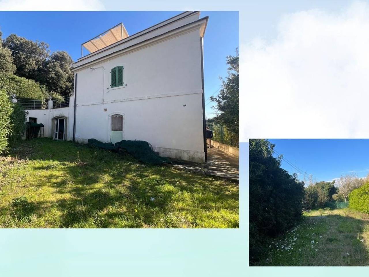 immagine annuncio 7 di 11