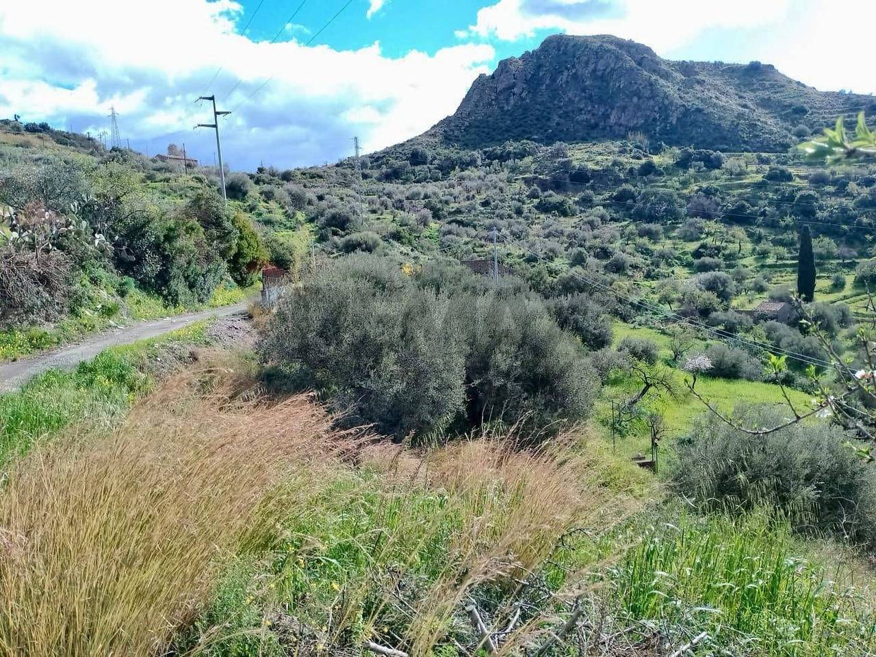 immagine annuncio 7 di 8