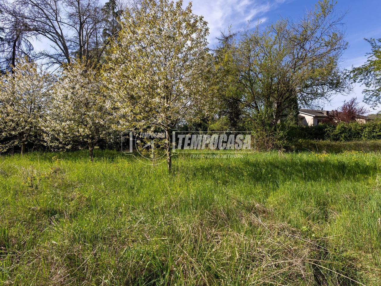 immagine annuncio 2 di 14