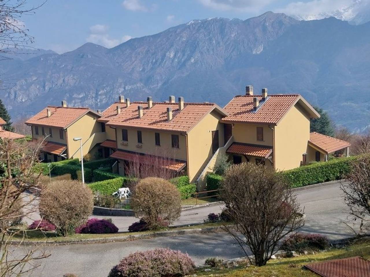 immagine annuncio 5 di 11