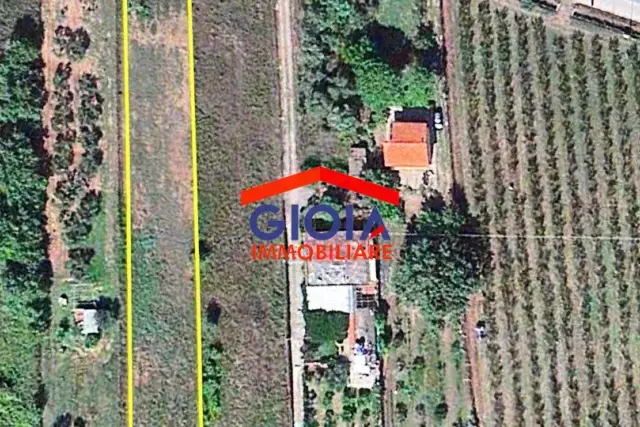 insertion image
