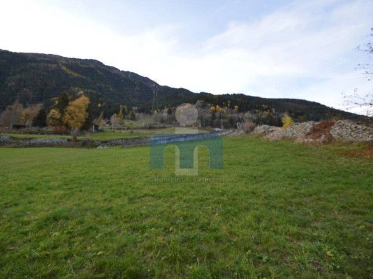 immagine annuncio 8 di 11