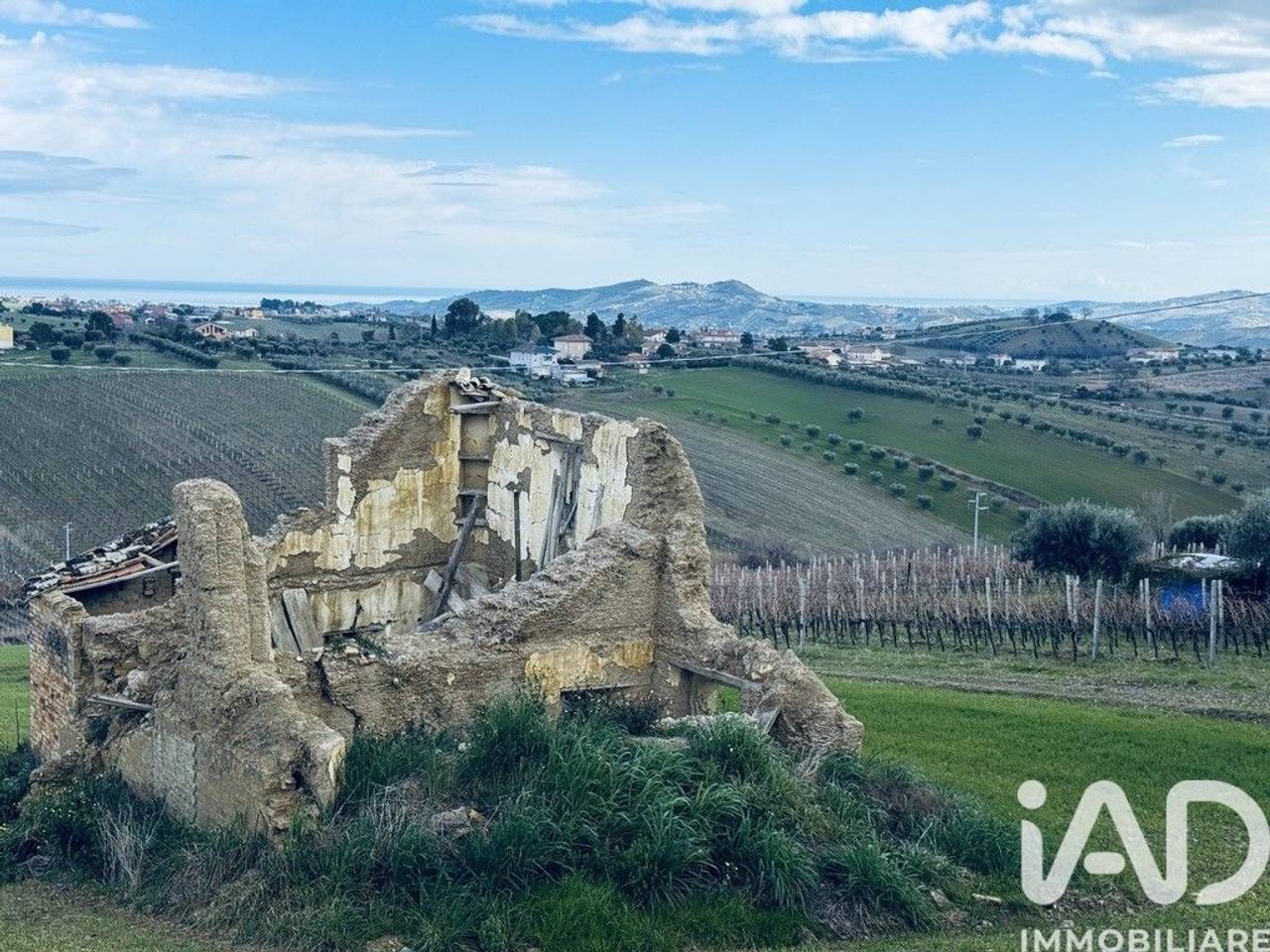 immagine annuncio 6 di 15