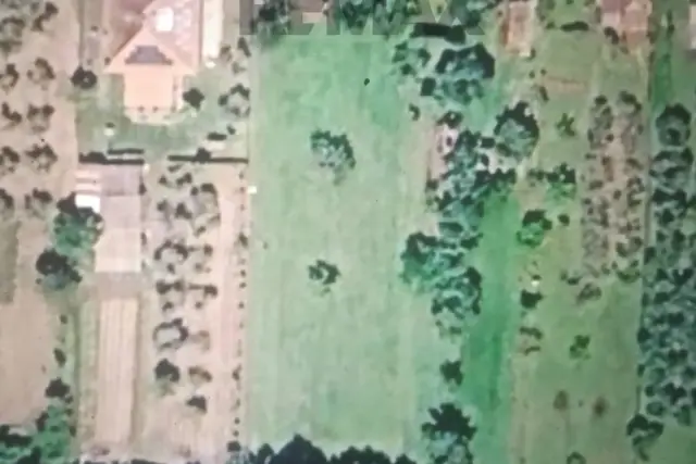 insertion image