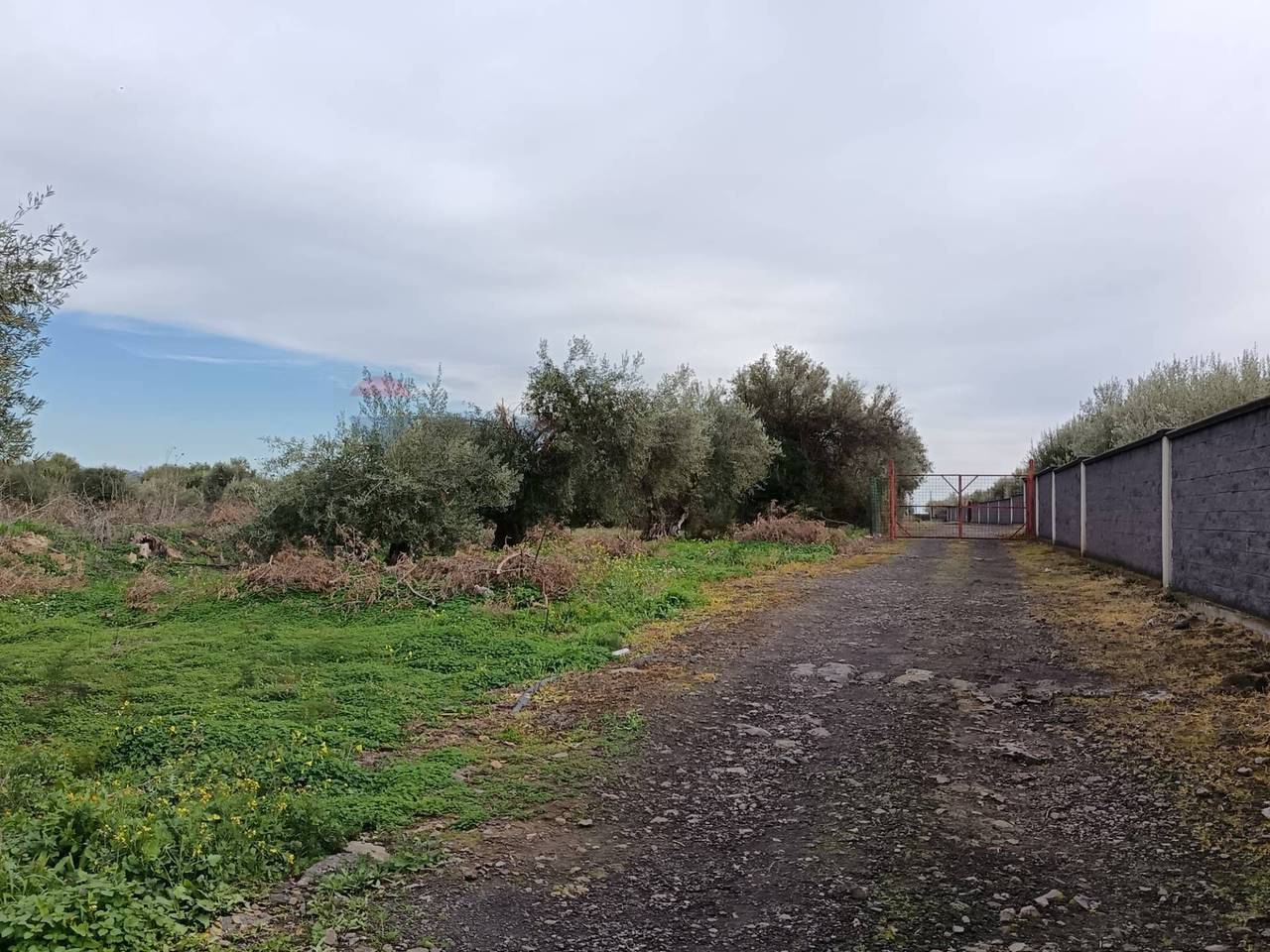 immagine annuncio 8 di 9