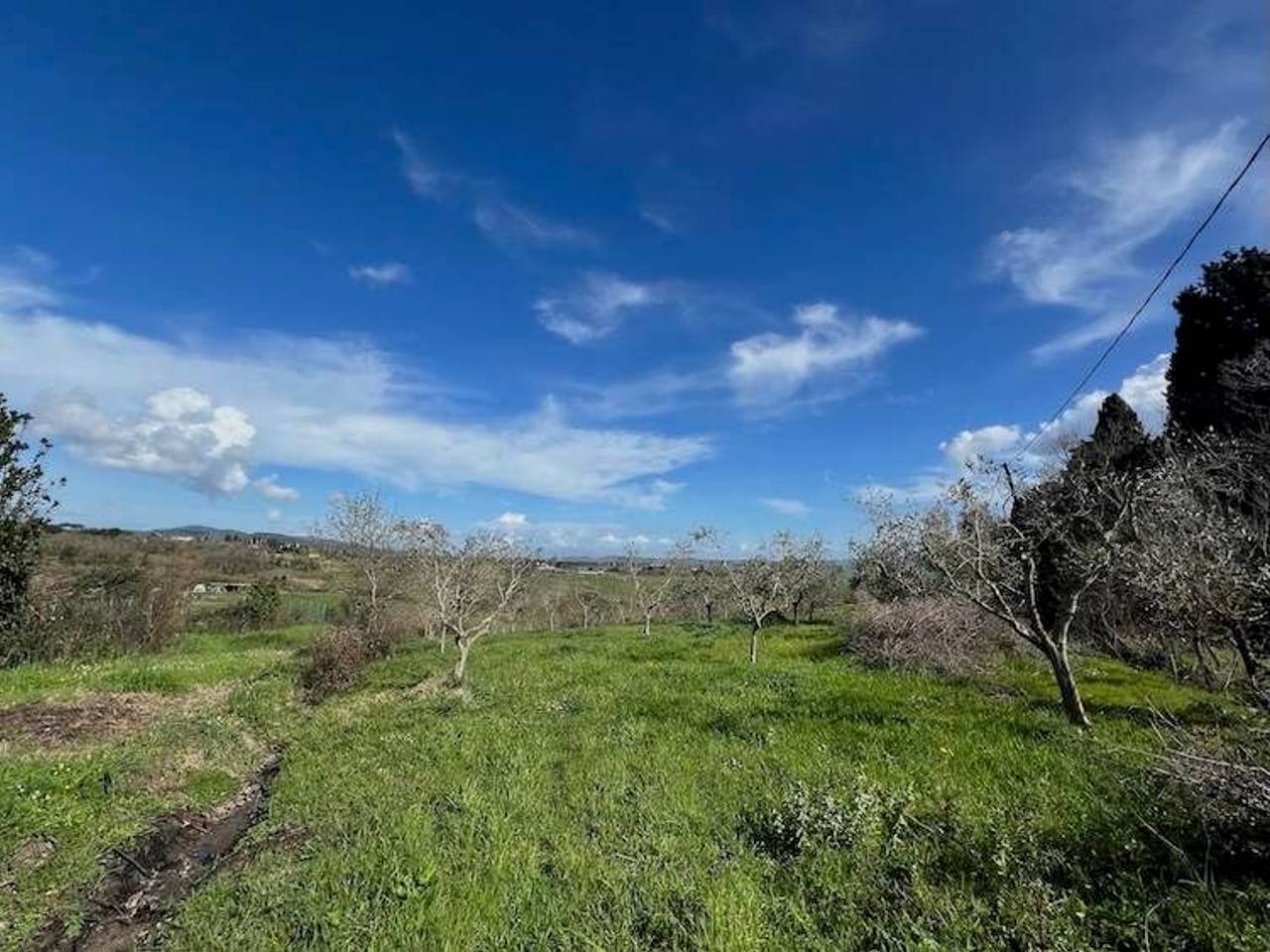 immagine annuncio 1 di 6