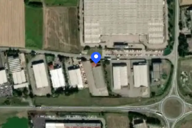 insertion image
