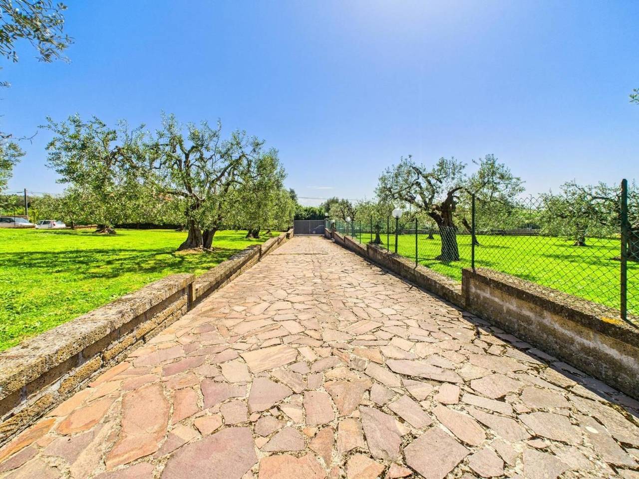 immagine annuncio 6 di 11