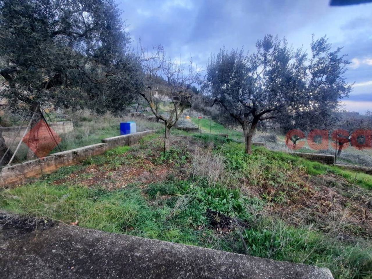 immagine annuncio 5 di 9