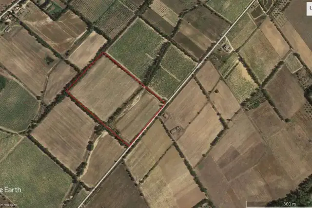 insertion image