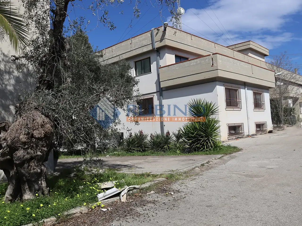 Capannone in , Palo Del Colle, {3} - Foto 2
