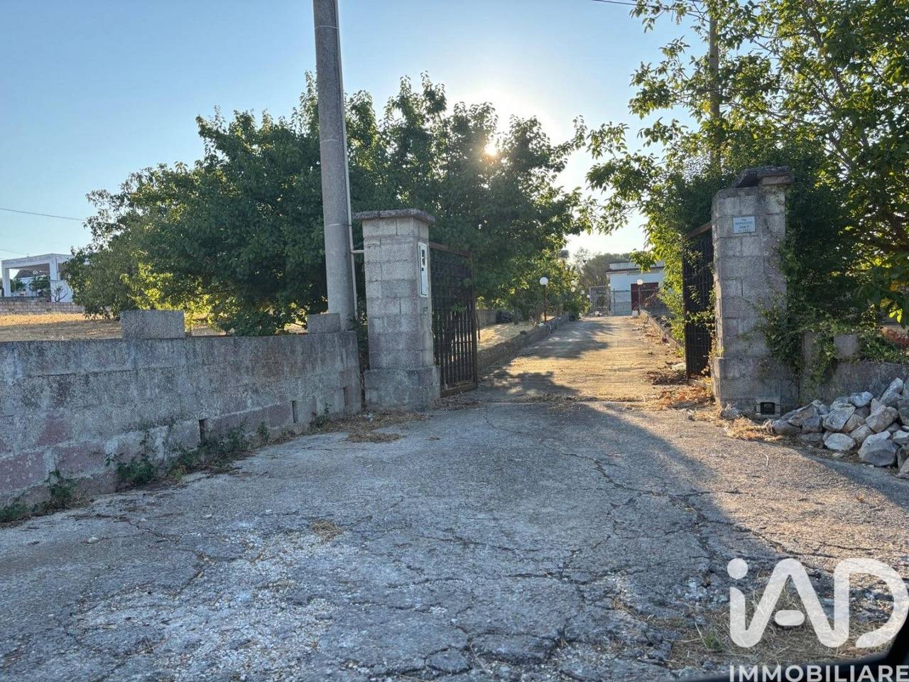 immagine annuncio 3 di 13