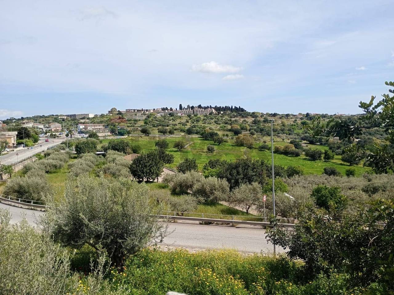 immagine annuncio 3 di 8