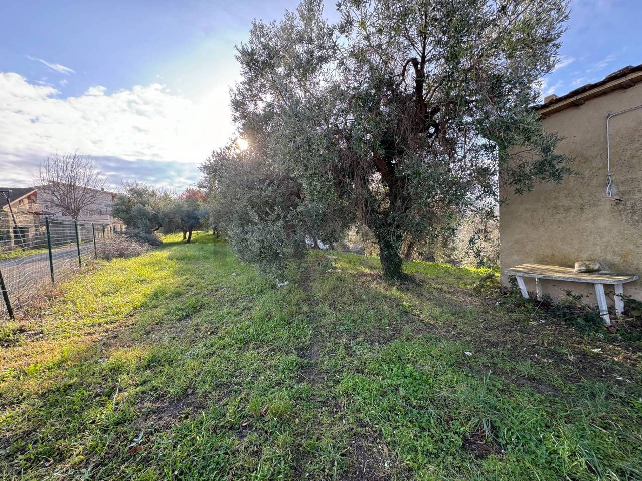 immagine annuncio 7 di 12