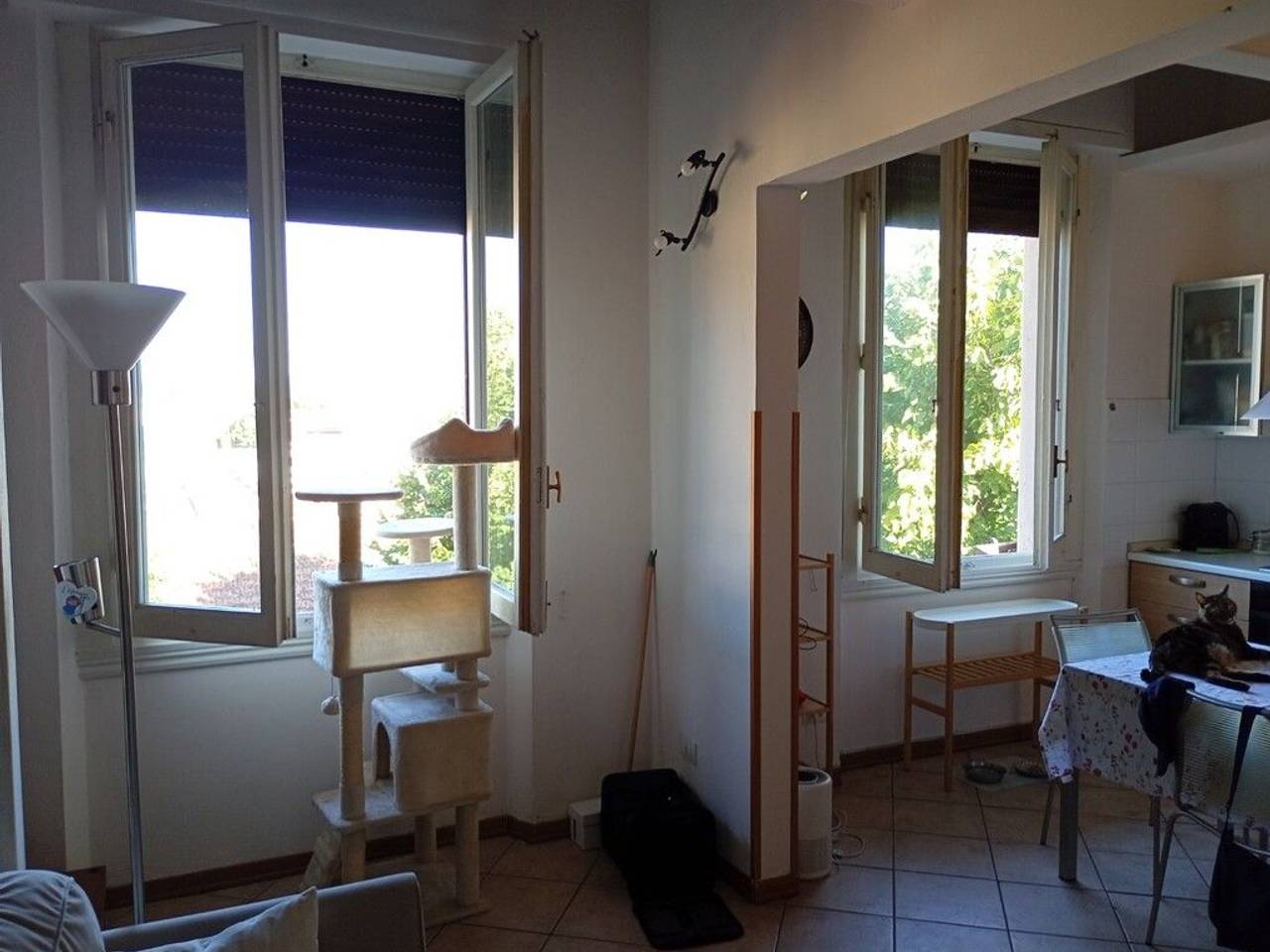 immagine annuncio 7 di 8