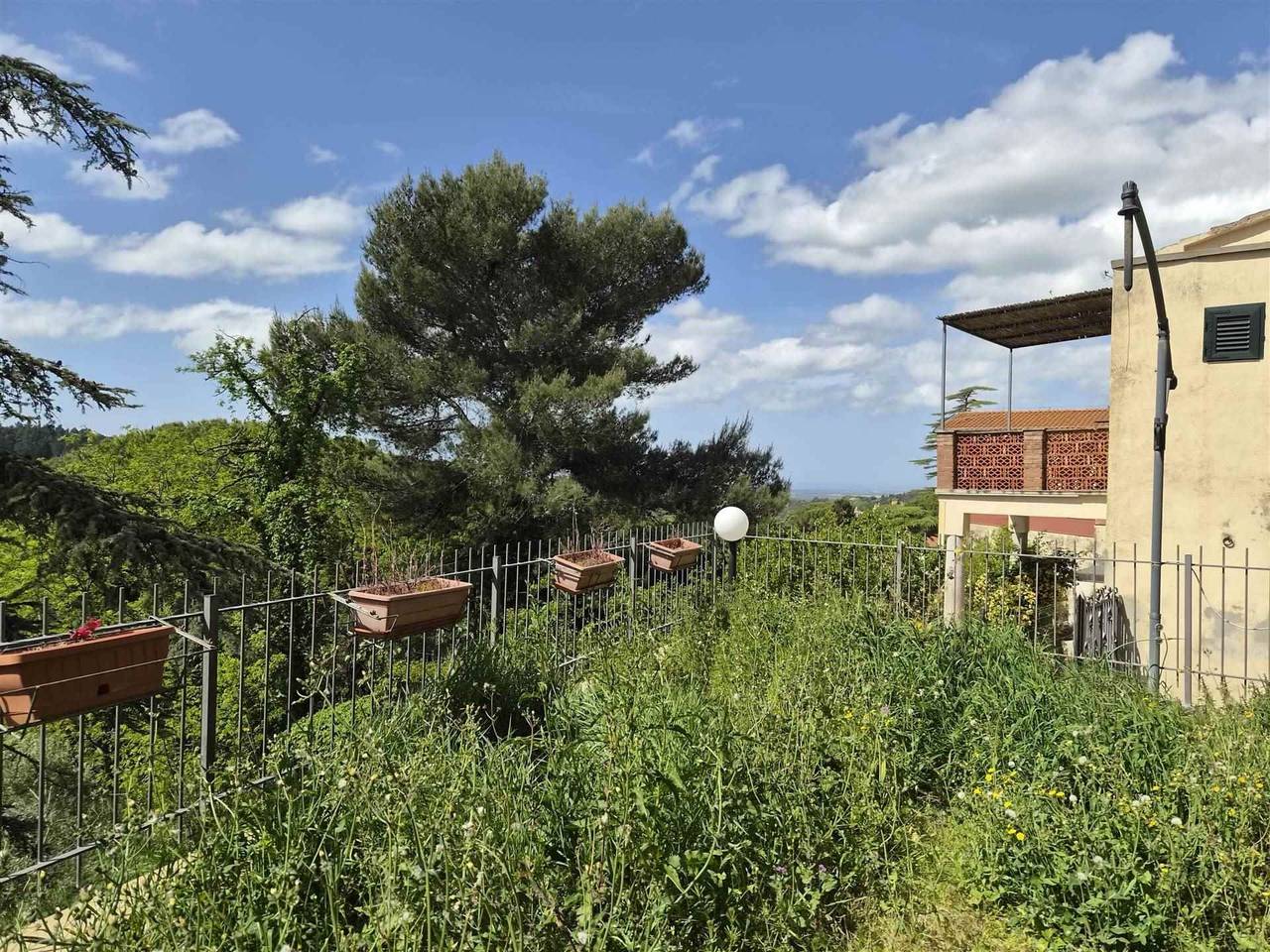 immagine annuncio 10 di 13