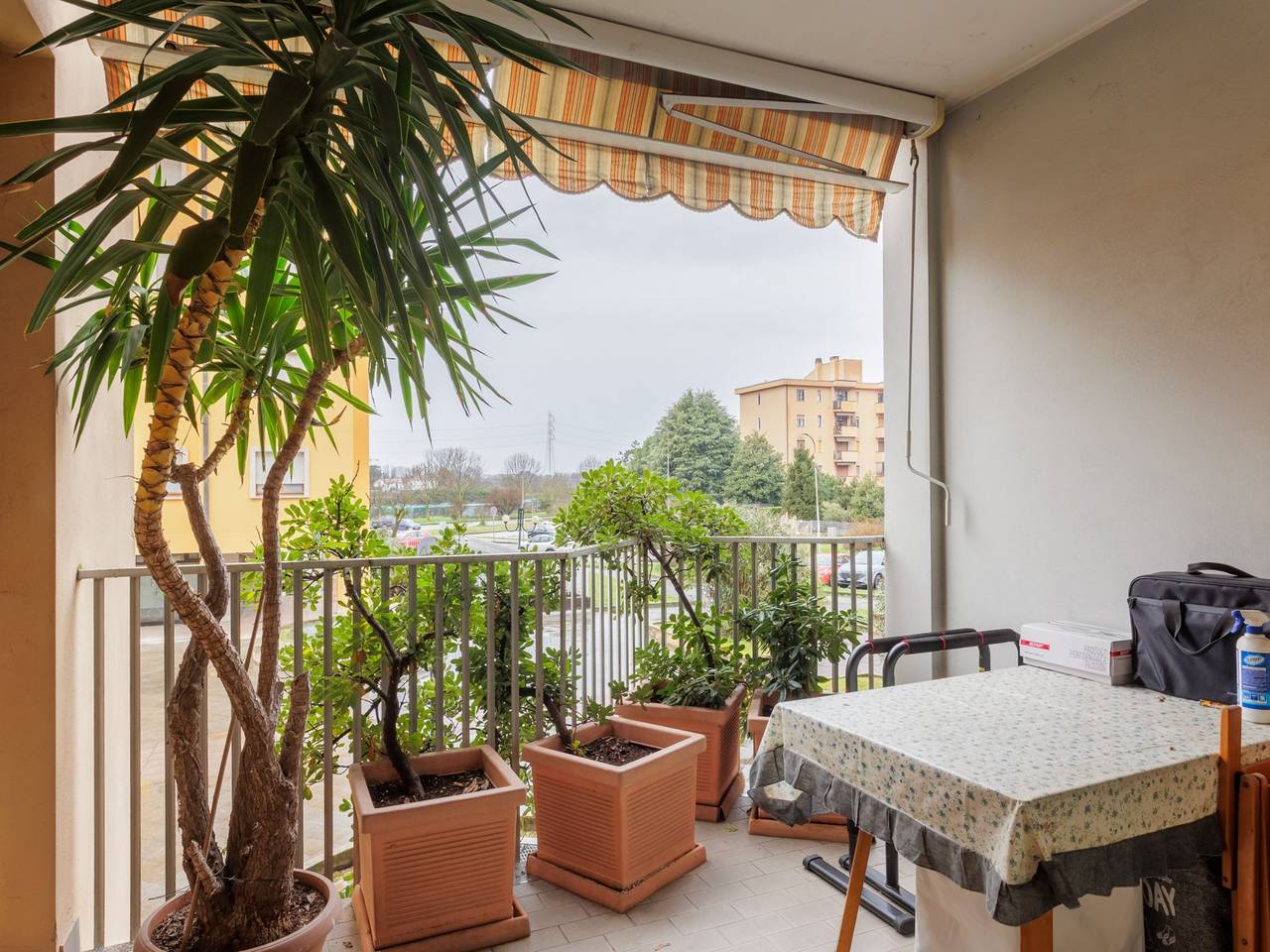 immagine annuncio 6 di 15