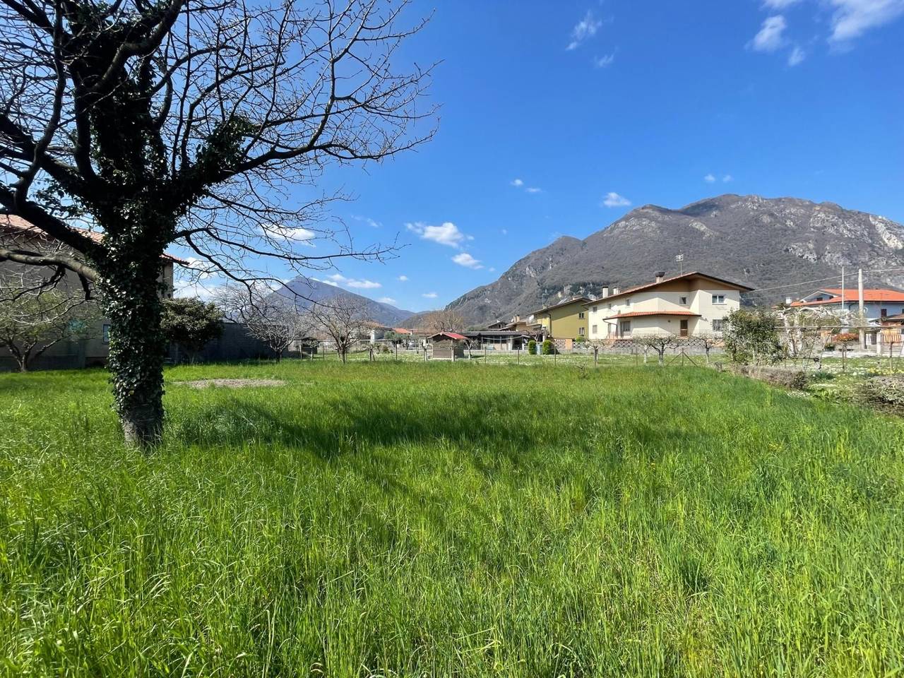 immagine annuncio 4 di 9