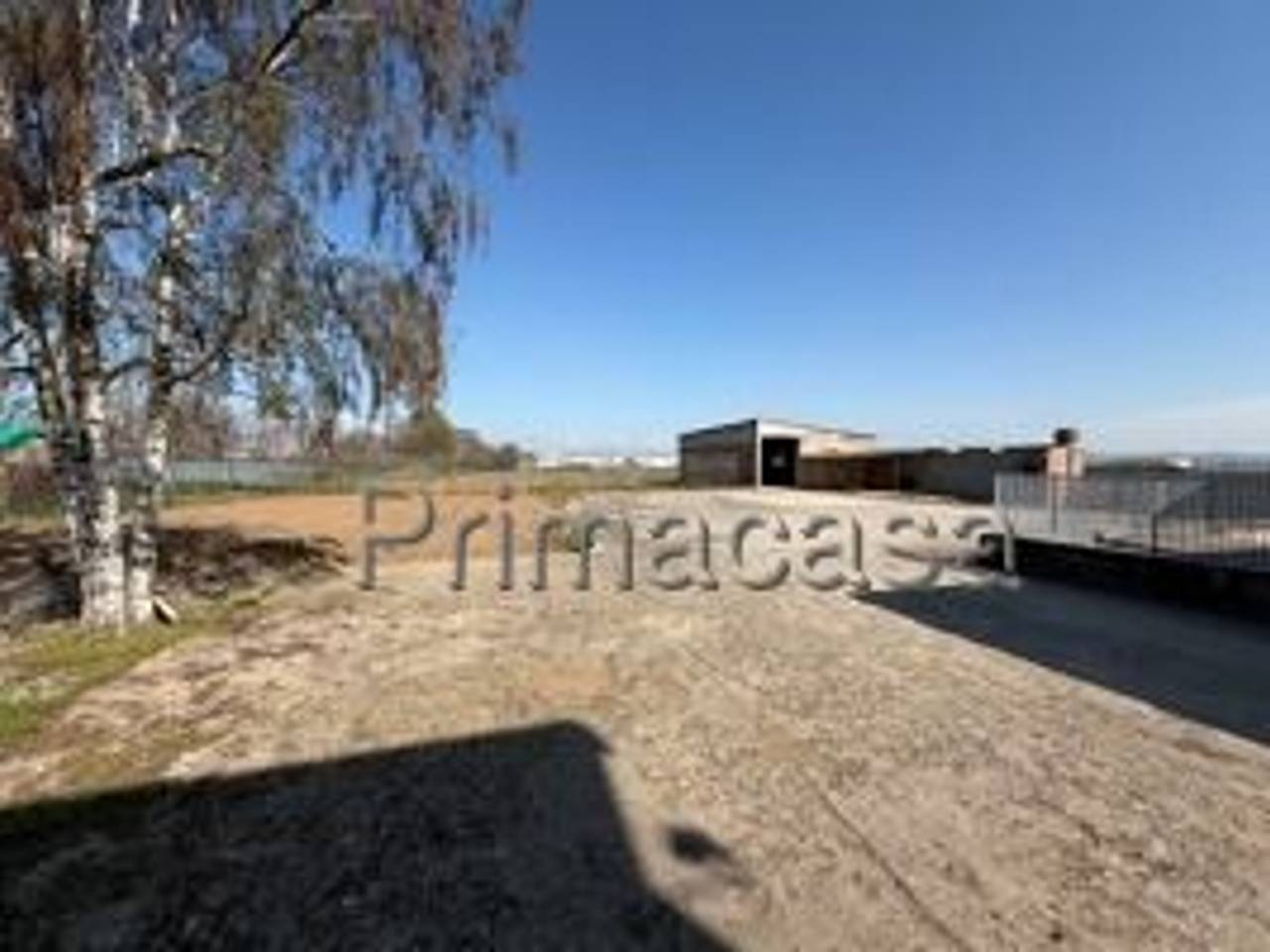 immagine annuncio 6 di 9