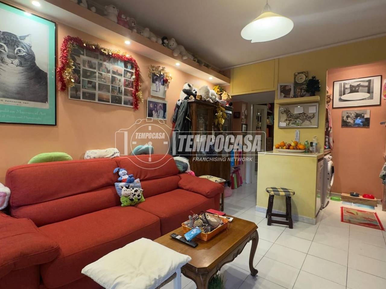 immagine annuncio 3 di 11