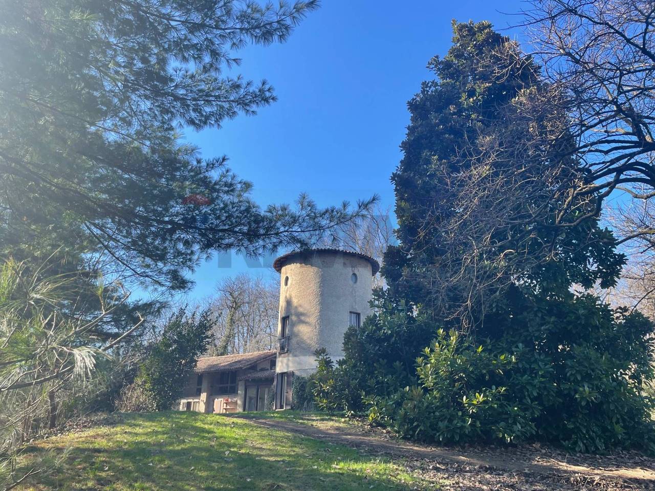 immagine annuncio 14 di 15