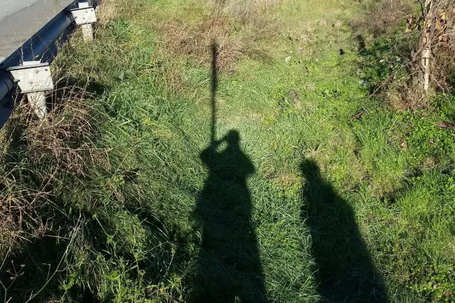 Terreno agricolo in Via Mesagne, San Donaci - Foto 1